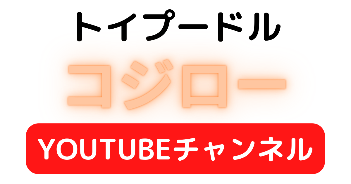 トイプードル　コジロー　YOUTUBEチャンネル